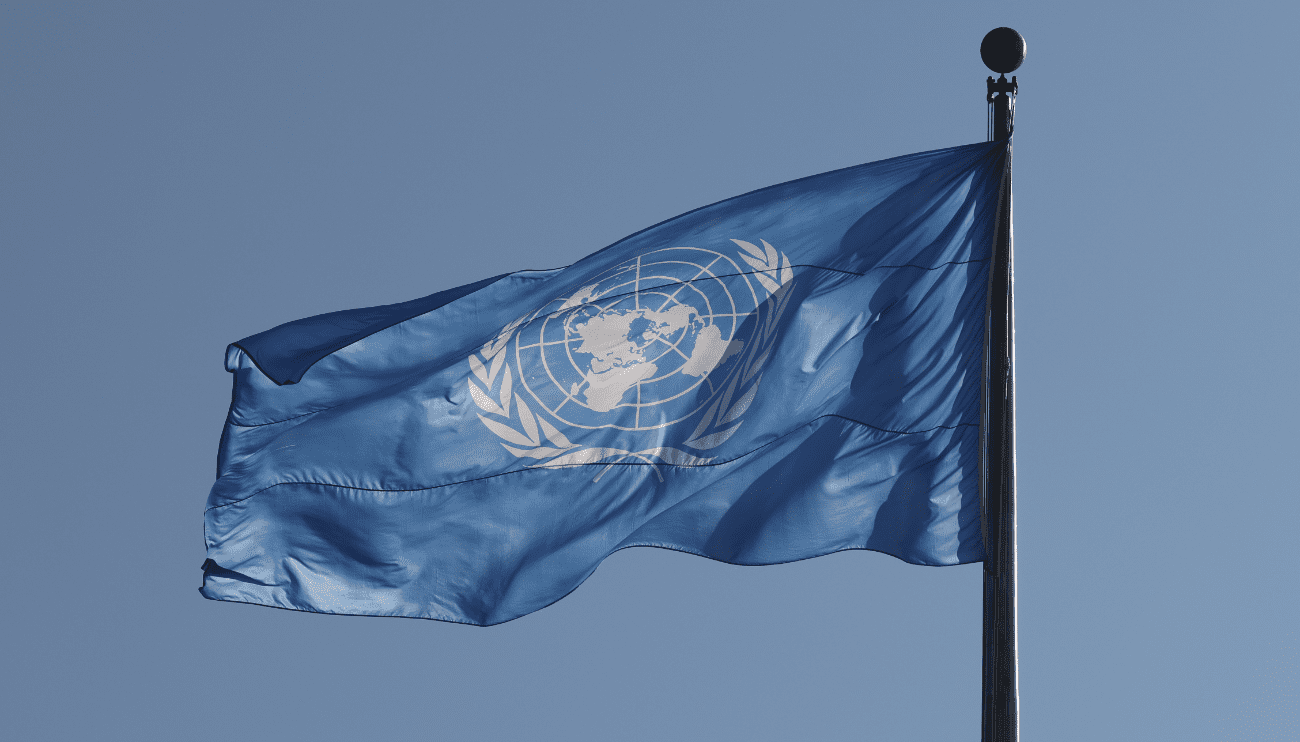 Drapeau bleu des Nations Unies - RA-ESG